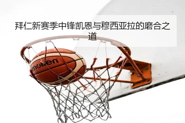 拜仁新赛季中锋凯恩与穆西亚拉的磨合之道